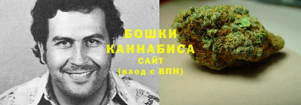 гашик Пересвет