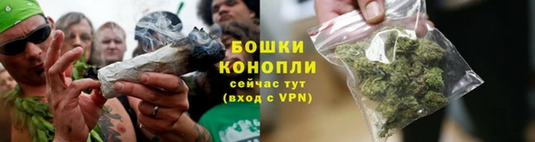 сатива Армянск