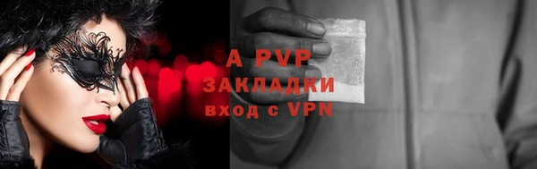 PSILOCYBIN Баксан