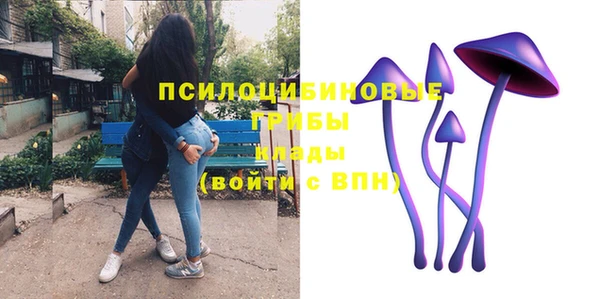 стаф Балахна