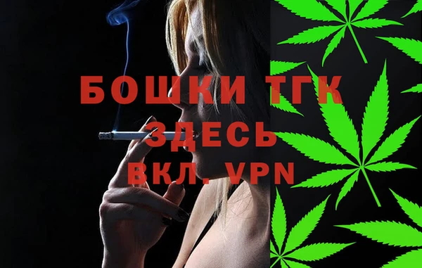 сатива Армянск